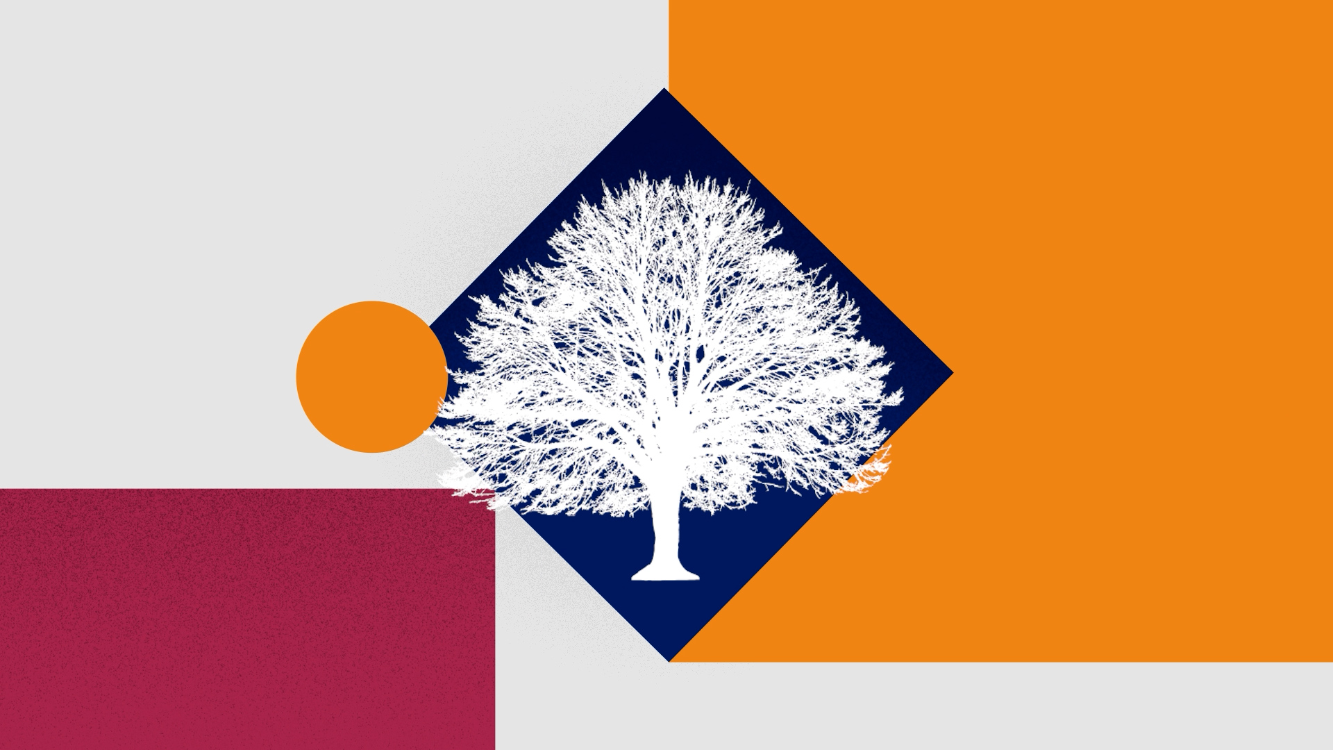 Introducing “The Roots of Well-Being,” a New Podcast from Methodist Healthcare Ministries 